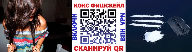 Cocaine Fish Scale  продажа наркотиков  Павловский Посад 