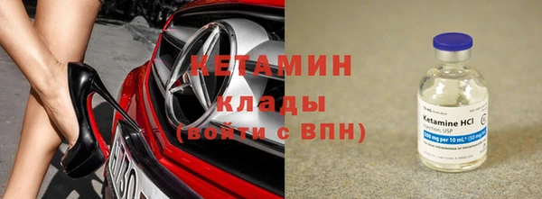 шишки Абаза