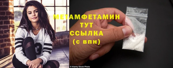 шишки Абаза