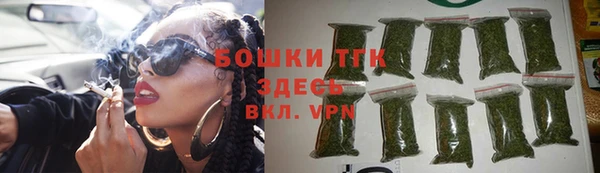шишки Абаза