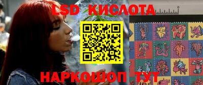 spice Заволжье