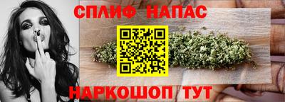 мдпв Заводоуковск