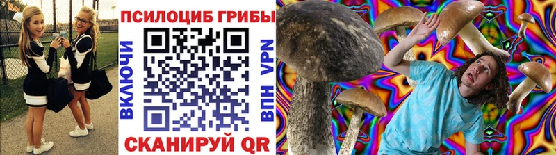 где продают   Павловский Посад  Галлюциногенные грибы мицелий 